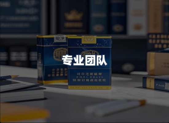 专业团队